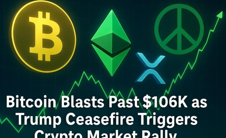 Crypto Market Rally